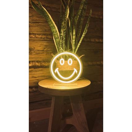 2Kids Toys - Светодиодное неоновое настольное украшение LED/5W/USB смайлик