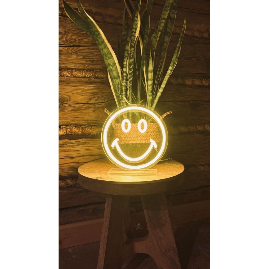 2Kids Toys - Светодиодное неоновое настольное украшение LED/5W/USB смайлик