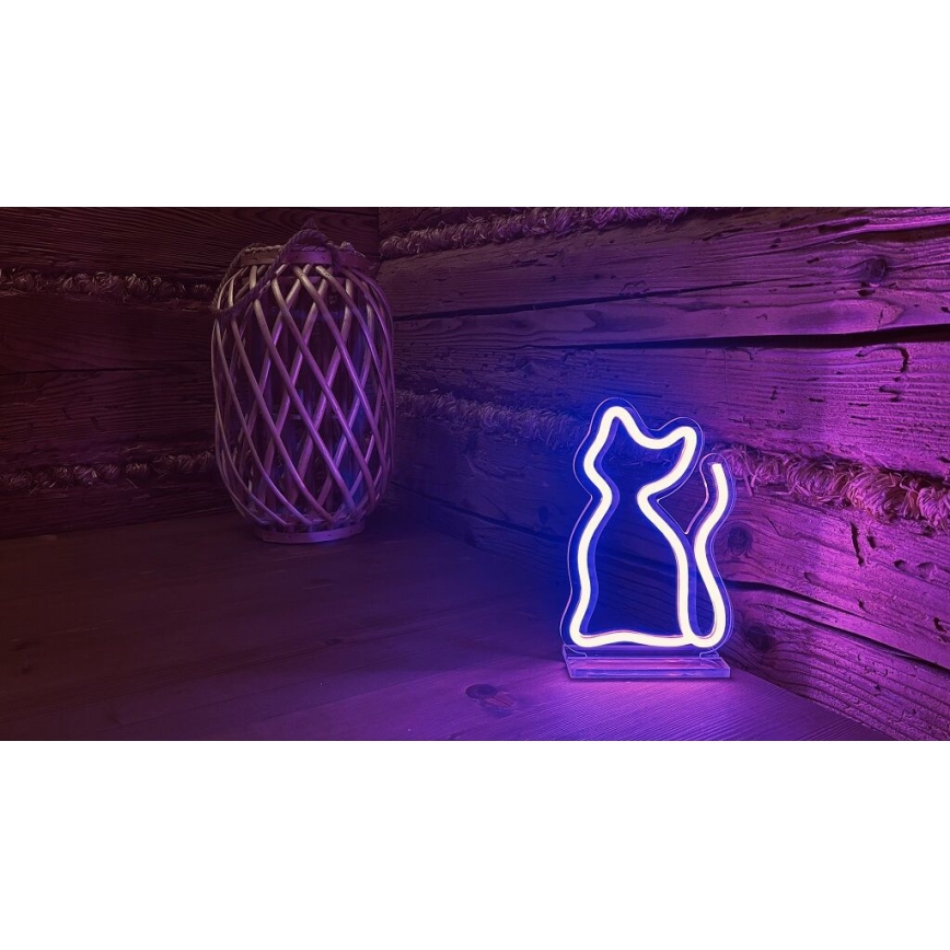 2Kids Toys - Светодиодное неоновое настольное украшение LED/5W/USB кот