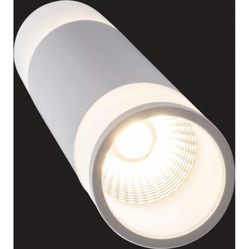 AEG - Светодиодная подвесная люстра с регулированием яркости ABBY LED/10W/230V