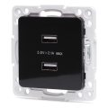 Aigostar - безрамочная USB-розетка 2× USB-A, чёрная