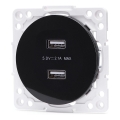 Aigostar - безрамочная USB-розетка питания 2x USB-A, чёрная
