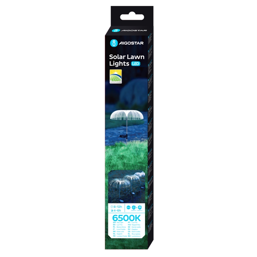 Aigostar - Декоративна LED лампа на сонячній батареї LED/0,03W/1,2V 70 см 300 mAh 6500K IP44