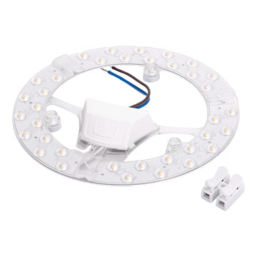 Aigostar - LED магнітний модуль LED/24W/230V 4000K