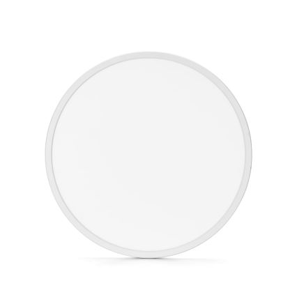 Aigostar - LED RGBW Стельовий світильник для ванної з регулюванням яскравості LED/24W/230V 3000-6500K діаметр 42 см IP44 + пульт дистанційного керування
