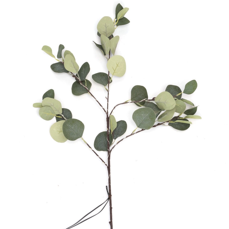 Aigostar - Светодиодная солнечная декоративная гирлянда 60 LED/3,5 м IP65 300 мАч тёплый белый эвкалипт