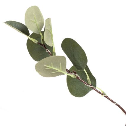 Aigostar - LED сонячна декоративна лампа 30xLED/2,6м IP65 300 мАг тепле біле світло евкаліпт