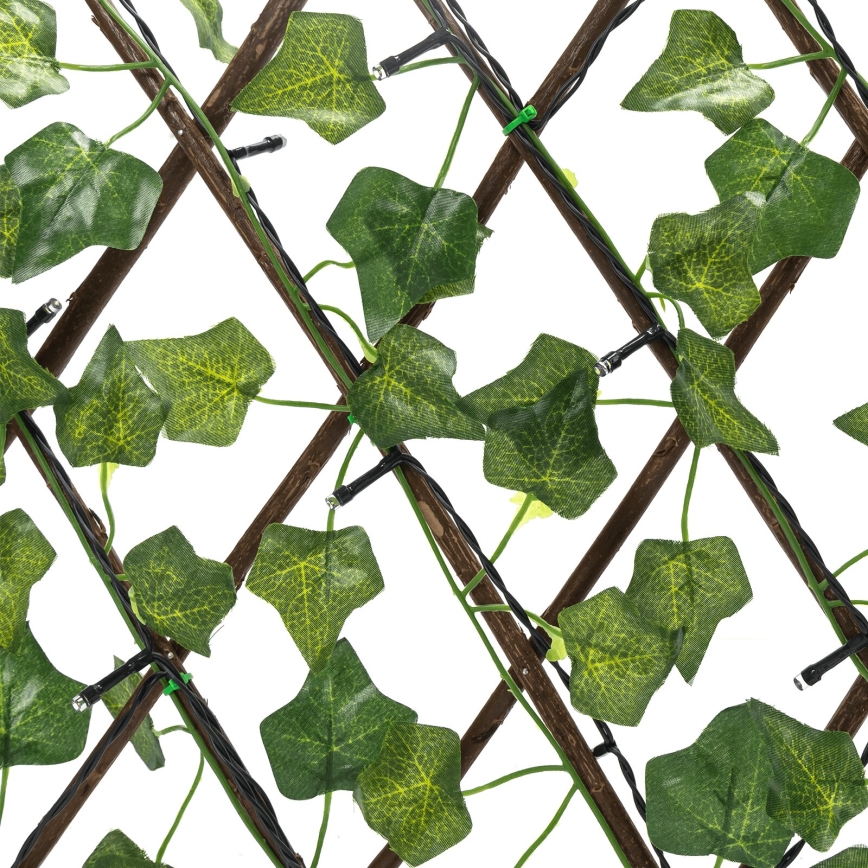 Aigostar - Світлодіодний сонячний гірлянд 56xLED/2x0,4м IP65 300 мАг тепле біле листя плюща