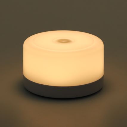 Aigostar - Портативне нічне LED освітлення LED/1W/5V 3000K + USB