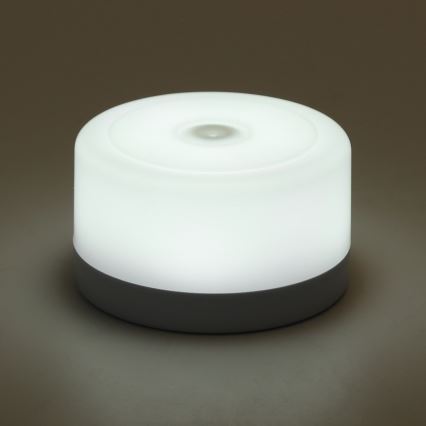 Aigostar - Портативний нічний LED світильник з регулюванням яскравості LED/1W/5V 6500K + USB