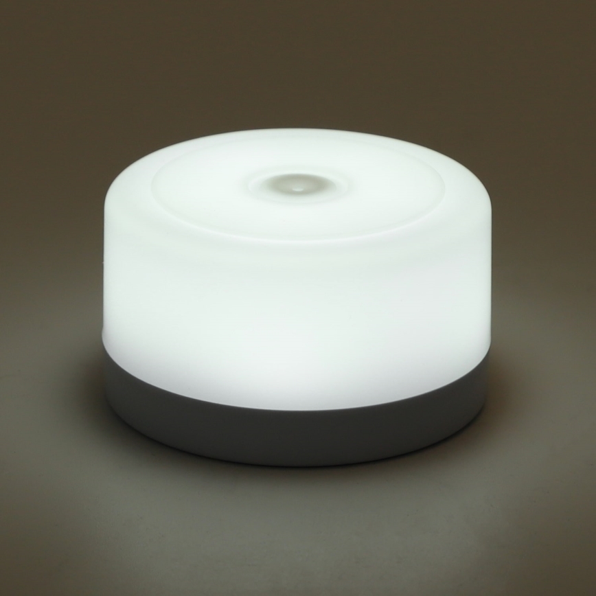 Aigostar - Портативний нічний LED світильник з регулюванням яскравості LED/1W/5V 6500K + USB