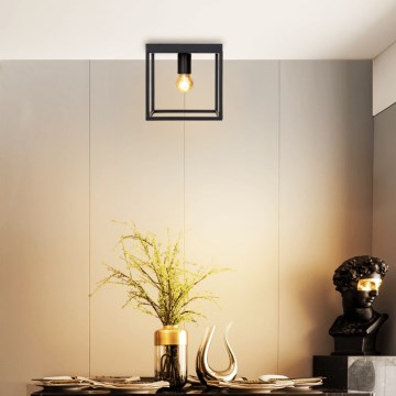 Aigostar - Потолочный светильник 1xE27/40W/230V черный