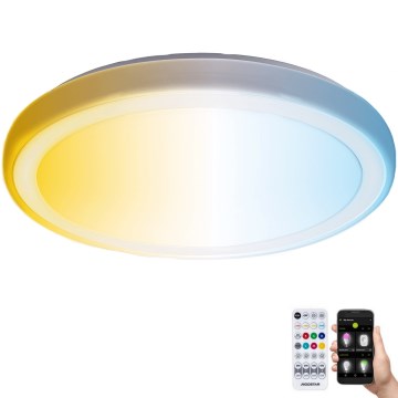 Aigostar - Стельовий LED світильник для ванної з регулюванням яскравості MESH Smart LED/24W/230V 3000-6500K IP44 + пульт дистанційного керування