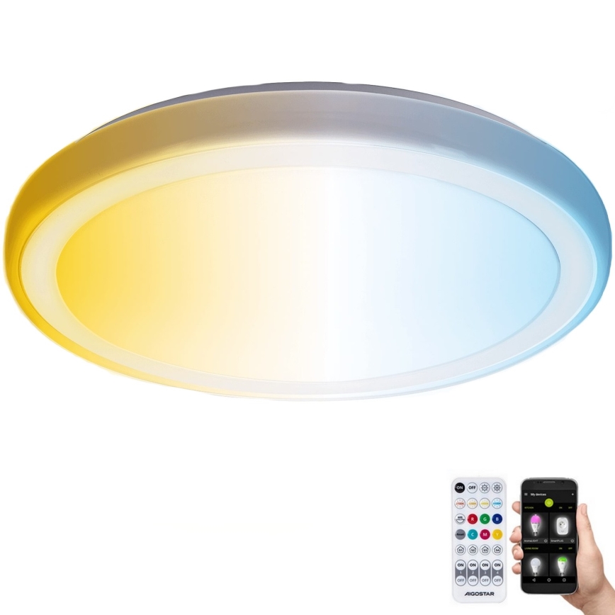 Aigostar - Стельовий LED світильник для ванної з регулюванням яскравості MESH Smart LED/24W/230V 3000-6500K IP44 + пульт дистанційного керування