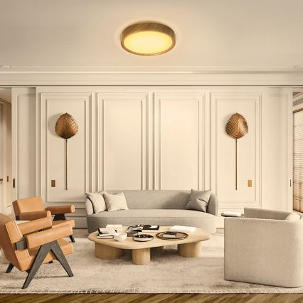 Aigostar - Стельовий LED світильник LED/12W/230V 3000K діаметр 26,3 см