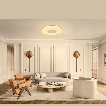 Aigostar - Стельовий LED світильник LED/12W/230V 3000K діаметр 26см