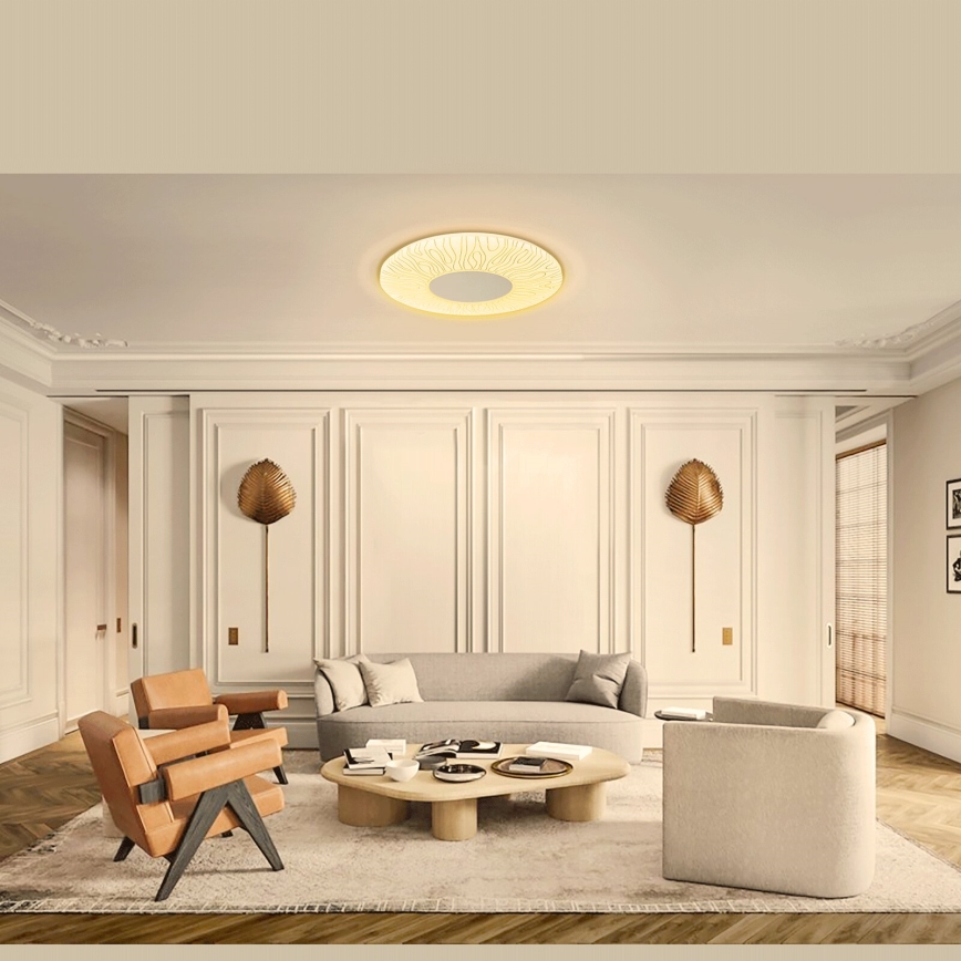 Aigostar - Стельовий LED світильник LED/12W/230V 3000K діаметр 26см
