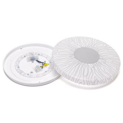Aigostar - Стельовий LED світильник LED/12W/230V 6500K діаметр 26см