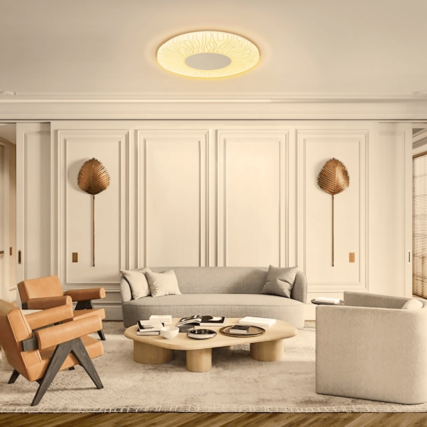 Aigostar - Стельовий LED світильник LED/20W/230V 3000K діаметр 33см
