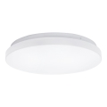 Aigostar - Стельовий LED світильник LED/24W/230V 3000K