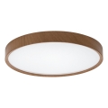 Aigostar - Стельовий LED світильник LED/36W/230V 3000K діаметр 48,1 см