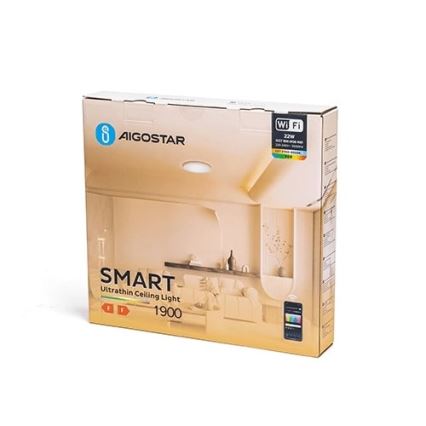 Aigostar - Стельовий RGBW-світильник з регулюванням яскравості LED/22W/230V 2700-6500K Wi-Fi
