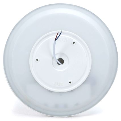 Aigostar - Стельовий RGBW-світильник з регулюванням яскравості MESH LED/24W/230V 3000-6500K білий + пульт дистанційного керування