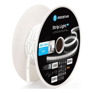 Aigostar - Светодиодная лента LED/250Вт/230В 50м 6500К IP65