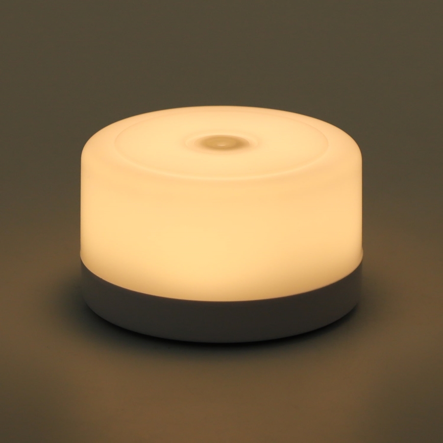 Aigostar - Светодиодный переносной ночник LED/1W/5V 3000K + USB