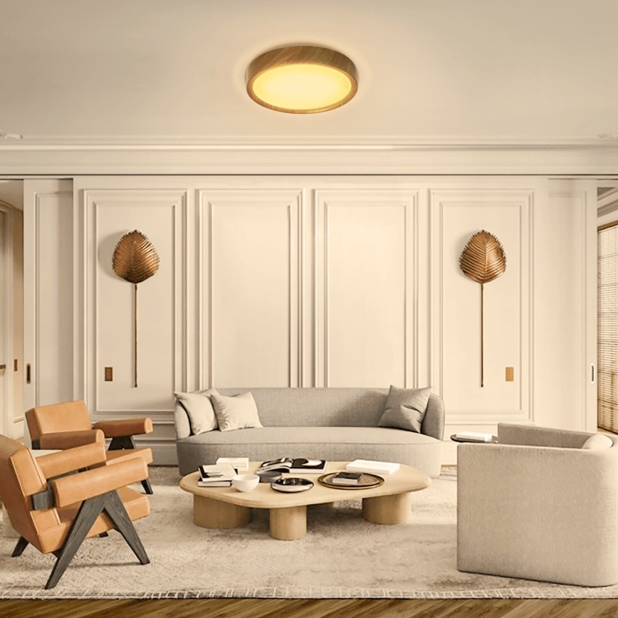 Aigostar - Светодиодный потолочный светильник LED/12W/230V 3000K диаметр 26,3 см