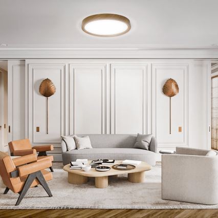 Aigostar - Светодиодный потолочный светильник LED/20W/230V 6500K диаметр 33,7 см