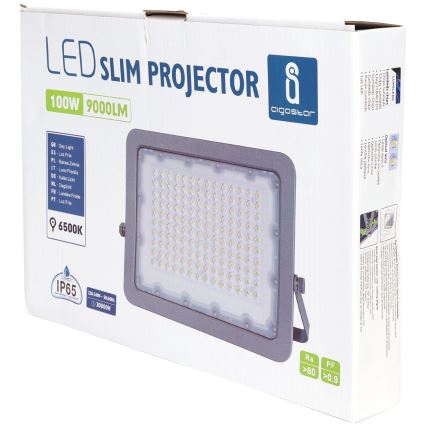 Aigostar - Светодиодный прожектор LED/100W/230V серый 6500K IP65