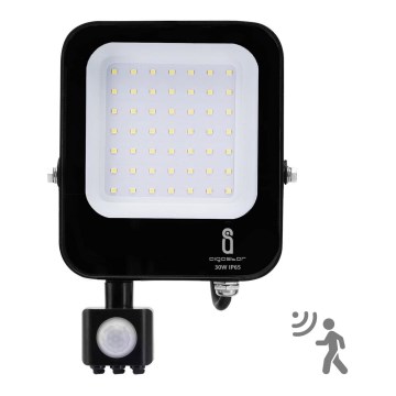 Aigostar - Светодиодный прожектор с датчиком LED/30W/230V 6500K IP65