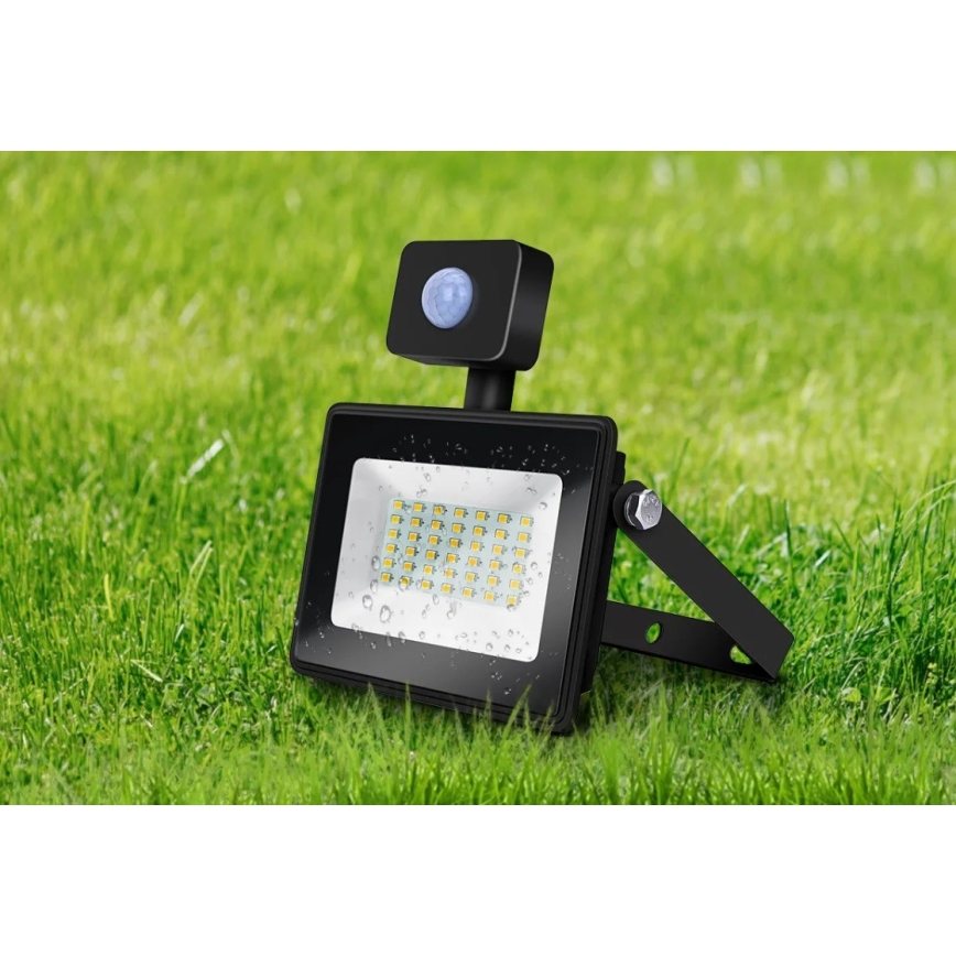 Aigostar - Светодиодный прожектор с датчиком LED/50W/230V 4000K IP65 черный