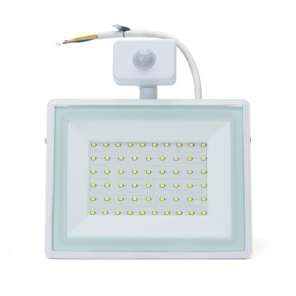 Aigostar - Светодиодный прожектор с датчиком LED/50W/230V 6400K IP65 белый