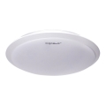 Aigostar - Светодиодный потолочный светильник LED/18W/230V 4000K белый