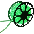 Aigostar - Світлодіодна стрічка 50м LED/300W/230V IP65 зелений