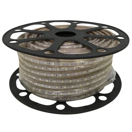 Aigostar - Світлодіодна стрічка 50м LED/300W/230V IP65 зелений