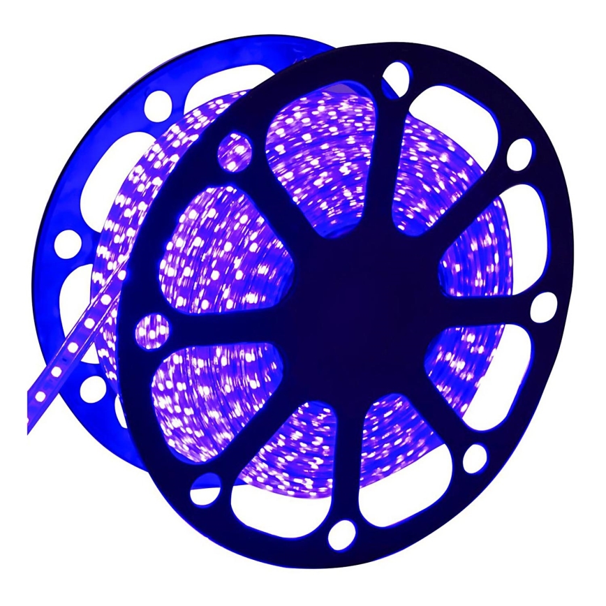 Aigostar - Світлодіодна вулична стрічка 50м LED/300W/230V синій IP65