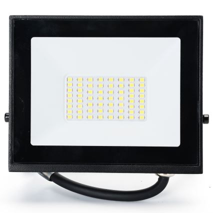 Айгостар - світлодіодний прожектор 30W/230V 4000K IP65