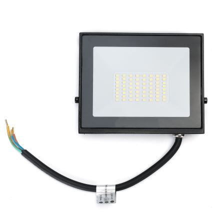 Айгостар - світлодіодний прожектор 30W/230V 4000K IP65