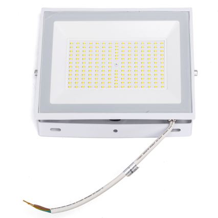 Aigostar - Світлодіодний прожектор LED/100W/230V 6500K IP65