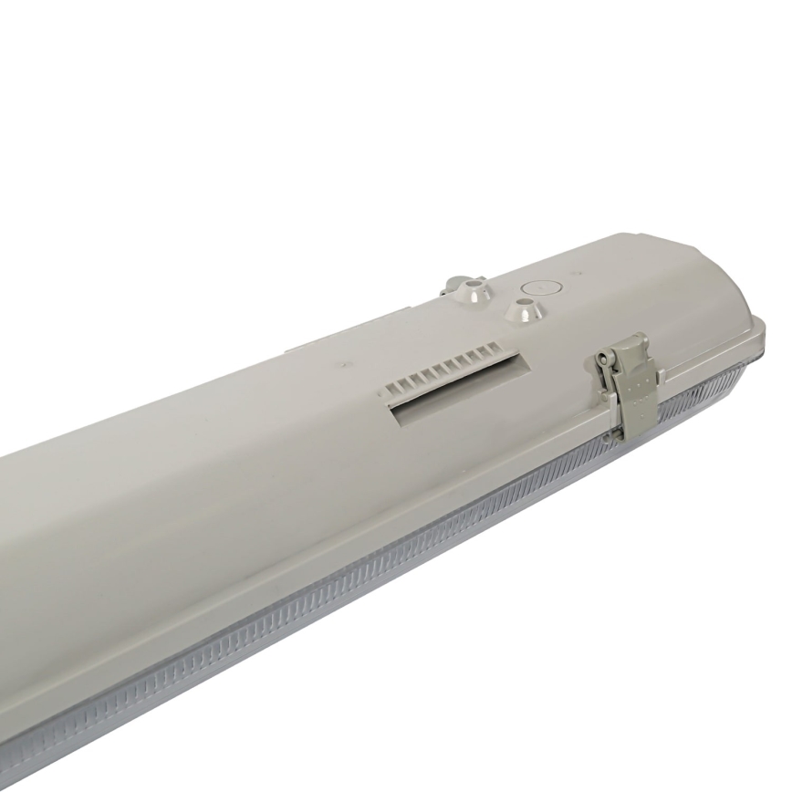 Aigostar - Технический люминесцентный светильник T8 2xG13/20W/230V IP65
