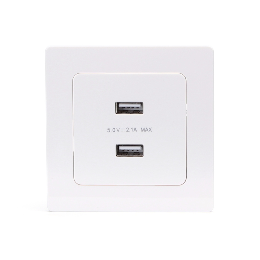 Aigostar - USB-розетка в рамке, 2 порта USB-A, белая