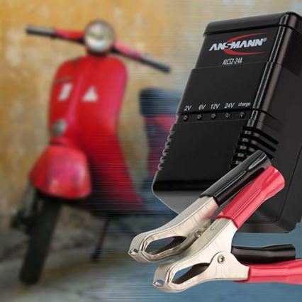 Ansmann 03723 ALCS 2-24A - Зарядное устройство для свинцовых аккумуляторов 2-24V/2,4-24 Ач