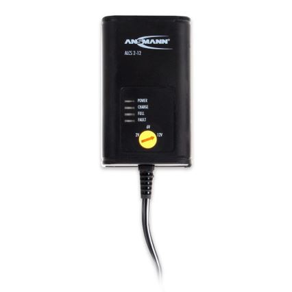 Ansmann 11496 - ALCS 2-12/0,4 - Зарядное устройство для аккумуляторов 2-12V/1,2-40Ah