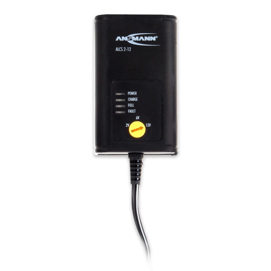 Ansmann 11496 - ALCS 2-12/0,4 - Зарядное устройство для аккумуляторов 2-12V/1,2-40Ah