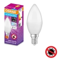 Антибактеріальна LED лампочка B40 E14/4,9W/230V 6500K - Osram