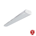 APLED - LED Пристельовий світильник TROUT LED/72W/230V 4000K