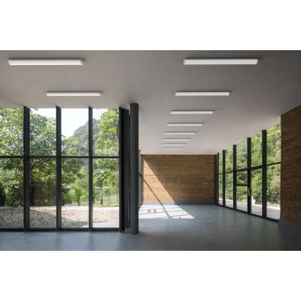 APLED - Светодиодный припотолочный светильник TROUT LED/36W/230V 4000K